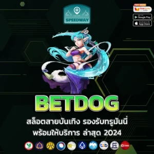 BETDOG